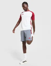 Tiro 26 Shorts - Herren, Grau - male - Size: XL