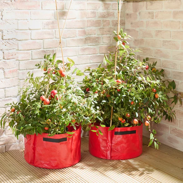 Tomaten-Pflanzgefäße 2er-Set - Gainsborough - FashionsVida