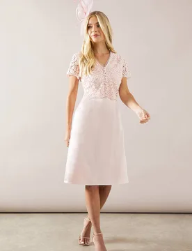 Women's Petite Lace Overlay Pencil Midi Dress in Blush Size: 14 - Blush - Size: 14 - Wallis - FashionsVida