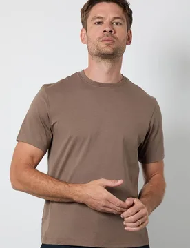 Men's Walnut Plain Crew Neck T-shirt in Taupe Size: Large - Taupe - Size: L - Burton - FashionsVida