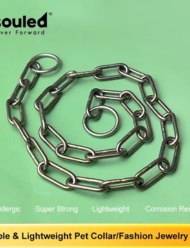 MM Pure Titanium Pet P Leash Chain Training Dog Collars Chains - Aliexpress - FashionsVida
