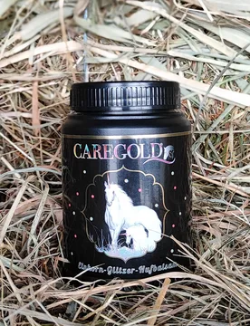 Caregold Glitzer Hufbalsam, Vanilleduft, 500ml Dose, silber - Golden Champ - FashionsVida
