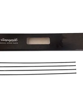 Rayons Arrière Droits Zonda 4 Unités - Campagnolo - FashionsVida