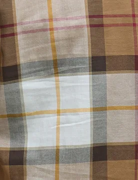 Camisa de mujer casual con estampado de cuadros - Barbour - FashionsVida