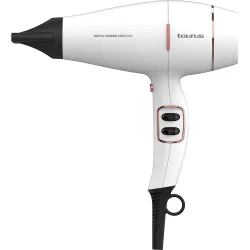 Secador de pelo Digital Shining 2200 Ionic