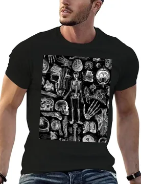 Human Anatomy Black Print T-Shirt tshirts personalised fashion shirts mens graphic t-shirts hip hop - Aliexpress - FashionsVida