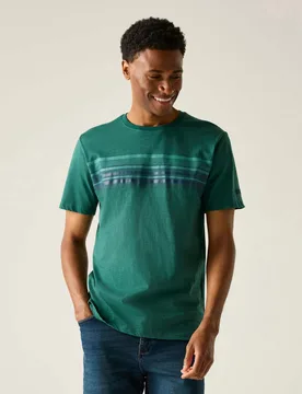 Rendro Pure Cotton Striped T-Shirt Green male - Regatta - FashionsVida