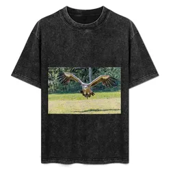 Gyps fulvus T-Shirt Comfortable Work Wear Tee