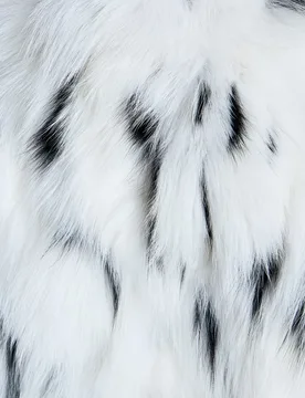 Chaqueta de mujer de pelo de retales de zorro con cuello alto - Maximilian - FashionsVida