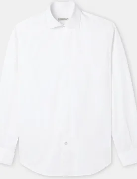 Camisa de hombre de algodón regular fit - Florentino - FashionsVida
