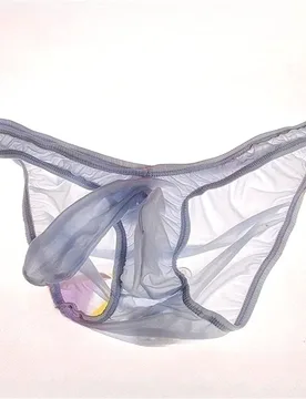 Sexy Underwear Mens Ice Silk Closed Sheath Briefs Transparent Tight Fitting Men Triangle Panties Low Waist Ropa Interior Hombre - Aliexpress - FashionsVida