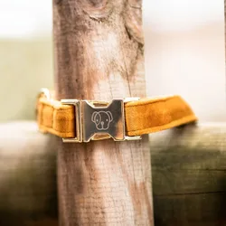 Kentucky Dogwear Hundehalsband VELVET senfgelb XS