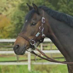 Halfter RIDING, dark brown, VB