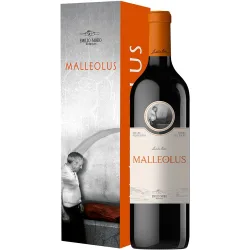 Estuche vino tinto reserva Ribera del Duero 2023 Mágnum
