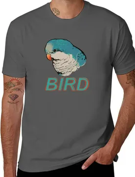 BIRD - Quaker Parrot (Blue) T-Shirt Anime t-shirt plus sizes cotton t shirt men - Aliexpress - FashionsVida