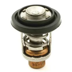 Yamaha 18-3541 Thermostat Grey One Size unisex