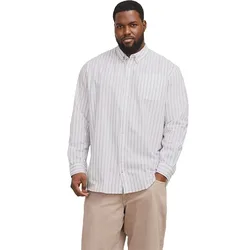 Camicia A Maniche Lunghe Oxford Plus Size Crockery / Stripes Stripes 6XL