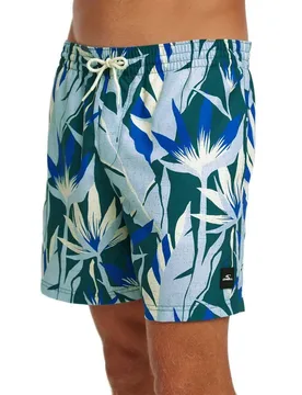 Short De Bain Print 16´´ Blue Tropicana Big L - O´neill - FashionsVida