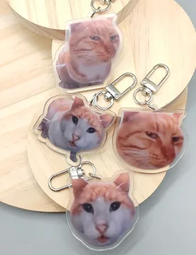 Silly Cat Feeder Camera,Cats Cat Looking At Camera Meme,Mr.Fresh, Cat Eating Food meme Cute Fun Keychain Gift For Friend Keyring - Aliexpress - FashionsVida