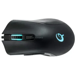 Souris Gaming Dx-120 12000 Dpi Black One Size unisex