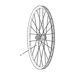 Rondelle De Rayon 3 Zero Moto 34 Unités