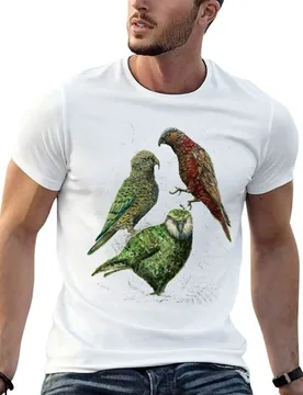 Three native parrots of New Zealand T-Shirt plus size clothes oversizeds men clothing - Aliexpress - FashionsVida