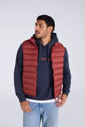 Animal Light Cosi Mens Gilet - Red