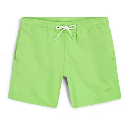 Short De Bain Vert 14´´ Paradise Valley 14-15 Années Garçon