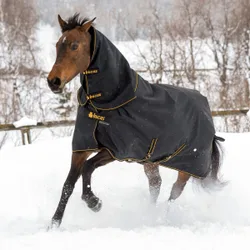 Halsteil IRISH COMBI NECK, black-gold 155/XL