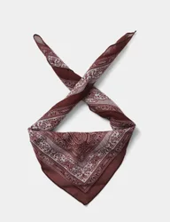 Warm Handle Paisley Scarf Red male