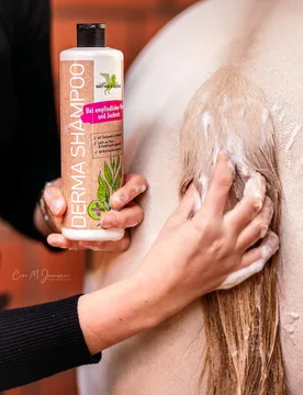 Bense & Eicke Derma Shampoo 500ml - Bense & Eicke - FashionsVida