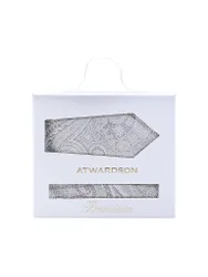 Ensemble cravate et pochette de costume gris clair