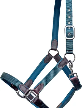 Halfter CHOLET, Nylon-Neopren-Leder, lila PONY - Euroriding - FashionsVida