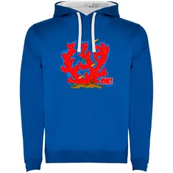 Felpa Con Cappuccio Coral Ok