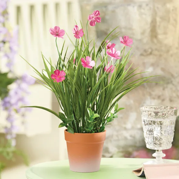 Kunstpflanze Dianthus Gainsborough - Gainsborough - FashionsVida