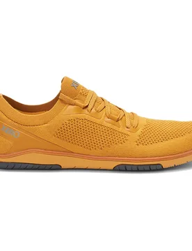 Sneaker Nexus Knit Gold EU 39 1/2 - Xero Shoes - FashionsVida