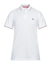 Polo Hombre Blanco 3XL,4XL,L,M,S,XL,XXL Hombre