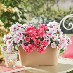 Balkon-Kunstblumen "Azaleen" 3er-Set