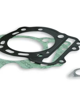 Busta Guarnizioni Completa Per Cilindro 77 Per Testa Originale Honda Forza X 250 4t Lc -2007 (Mf 08 E) - Malossi - FashionsVida
