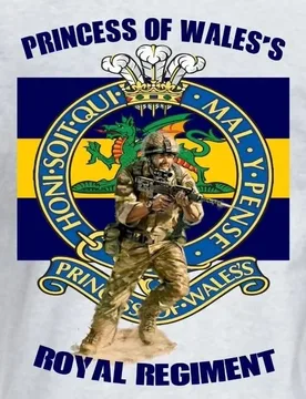 Princess of Wales's Royal Regiment T Shirt. Short Sleeve 100% Cotton Casual T-shirts Loose Top Size S-3XL - Aliexpress - FashionsVida