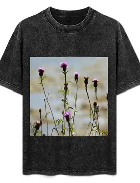 Highland Thistle T-Shirt Sports Basic Short Sleeve T-Shirt - Aliexpress - FashionsVida
