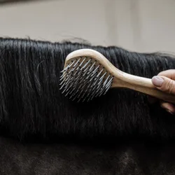 Grooming Deluxe Mähnenbürste