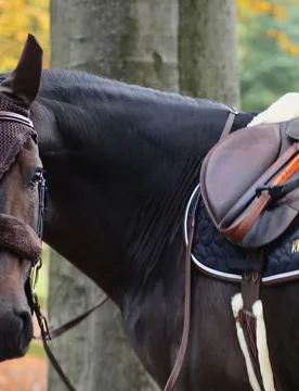 Fliegenhaube Full braun - Kentucky Horsewear - FashionsVida