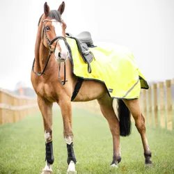 Ausreitdecke SHINE 100, gelb (navy) 145