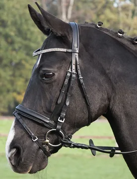 Trense FAMOUS, schwarz/Strass-grau, VB - Busse - FashionsVida