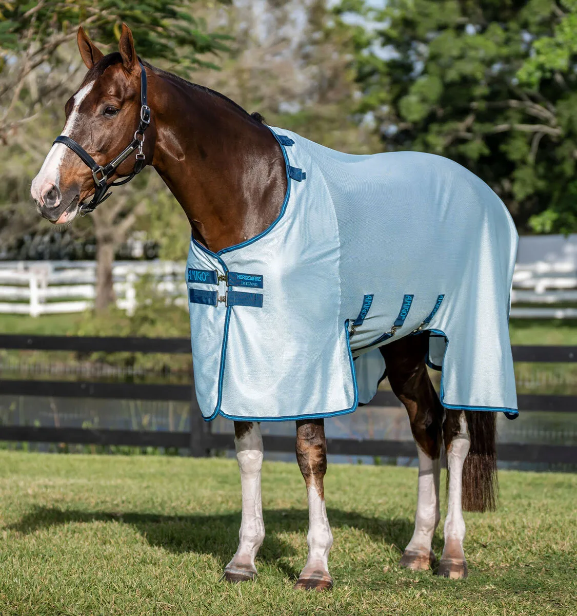 Fliegendecke AMIGO BUG BUSTER, azure blue/navy/electric - Horseware - FashionsVida