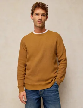 Pure Cotton Crew Neck Jumper Tan male - White stuff - FashionsVida