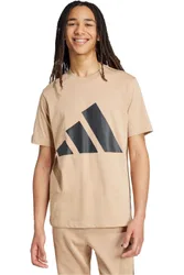 Essentials big logo camiseta manga corta hombre Marron
