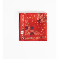 Pañuelo de bolsillo de hombre paisley