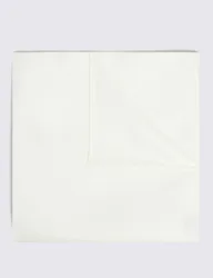Pure Silk Pocket Square White male